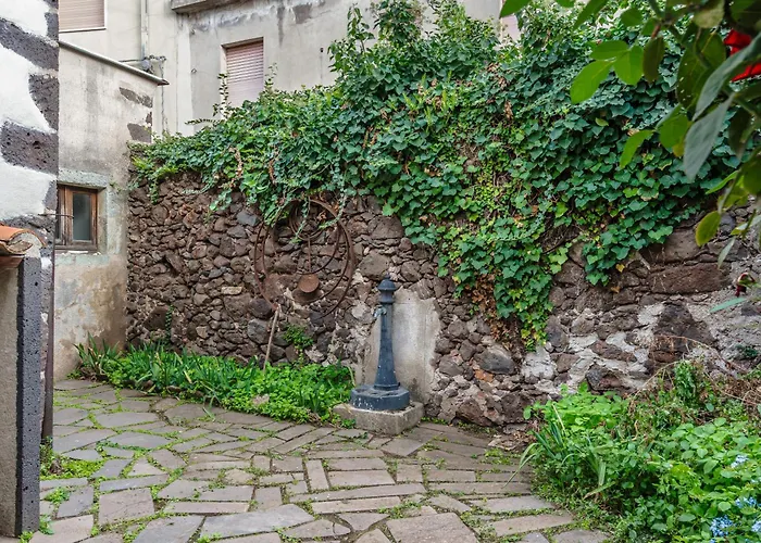 Slow Between Sea And Olive Trees, Terrace And Tranquility In The Village Of * Seneghe