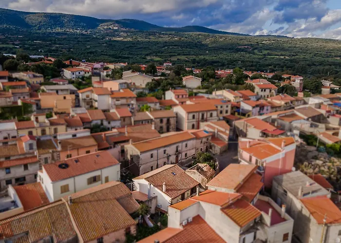 Villa Slow Between Sea And Olive Trees, Terrace And Tranquility In The Village Of *