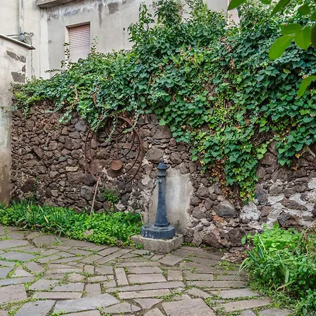 Slow Between Sea And Olive Trees, Terrace And Tranquility In The Village Of * Seneghe