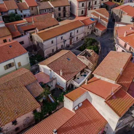 Slow Between Sea And Olive Trees, Terrace And Tranquility In The Village Of Seneghe